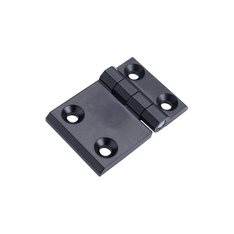 CL233-2-2 Electrolysis o Polishing Stainless Steel Hinge at Pin