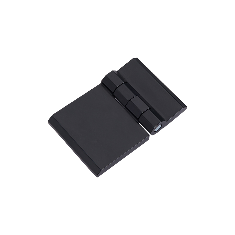 CL233-2A-2S Brushed Polished SUS304 Stainless Steel Hinges At Pin